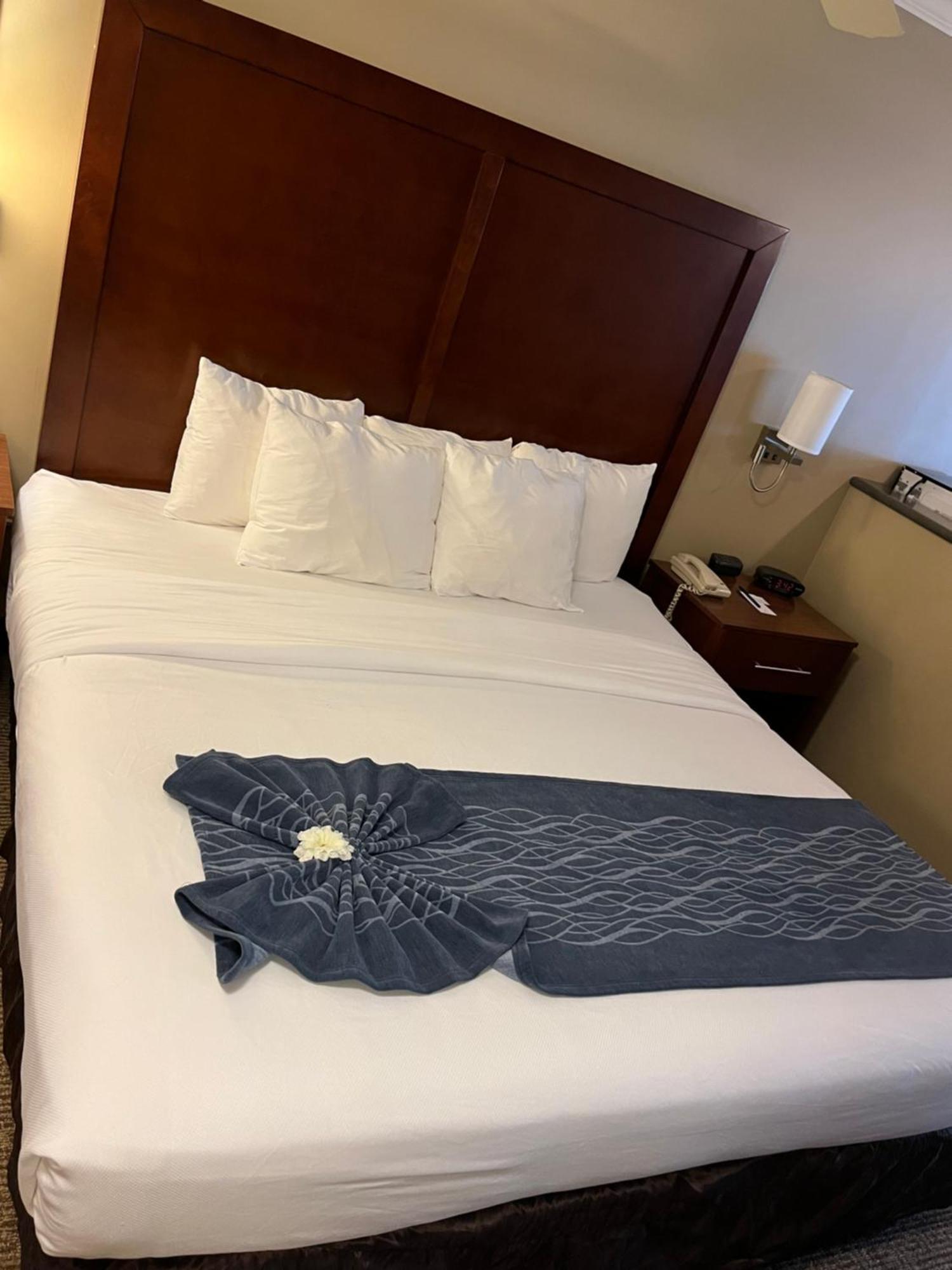 Comfort Inn & Suites Ocean Shores Luaran gambar